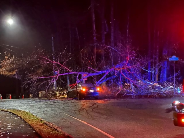 Two large trees came crashing down overnight in two different counties